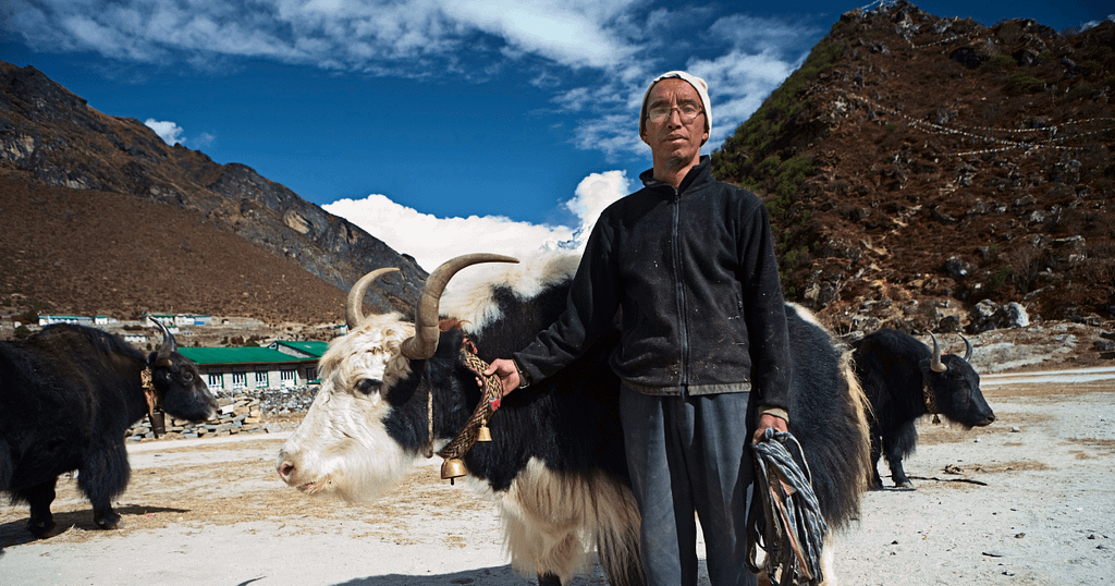 8 Reasons Why You Should Trek to Everest Base Camp
